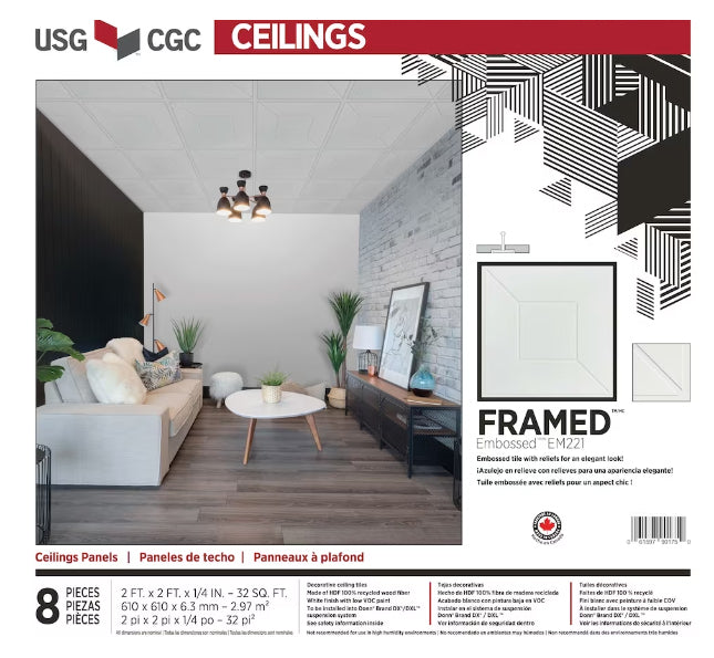 Framed Decorative Ceiling Panel