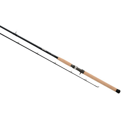 DXS Salmon/Steelhead 9'6" ML 2pc for Fishing - GhillieSuitShop