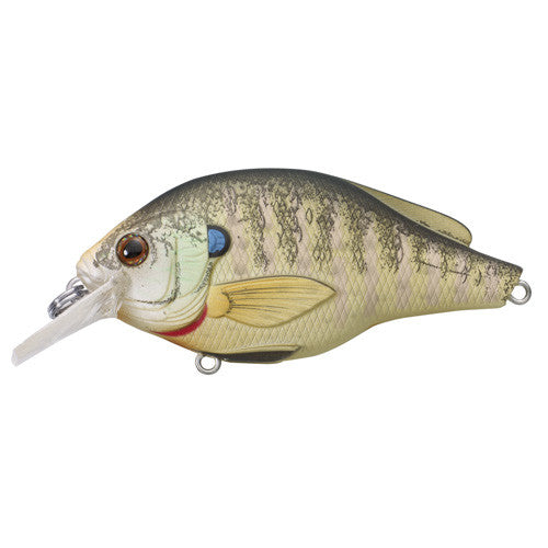Bluegill FS Squarebill,natural/matte,#6 - GhillieSuitShop