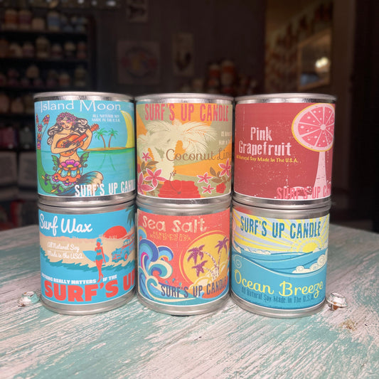 6 for $60 Best Seller 1/2 Pint Paint Can Special Set