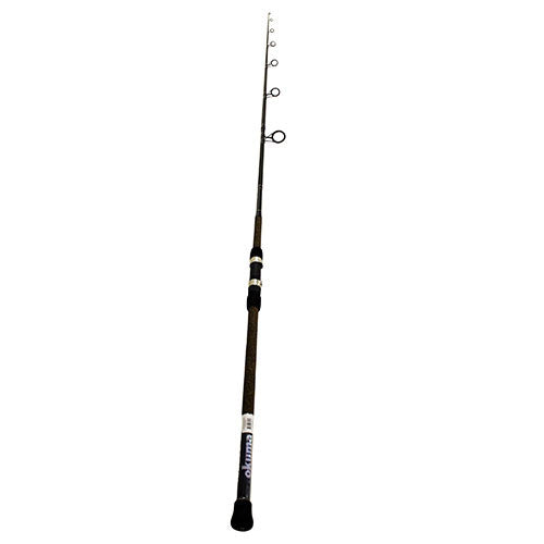 Longitude Surf Spin Rod 10' H 2pc - GhillieSuitShop